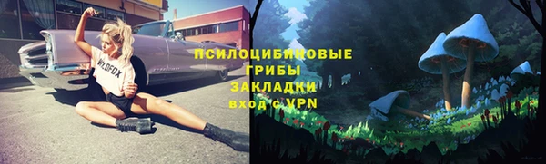 альфа пвп Армянск