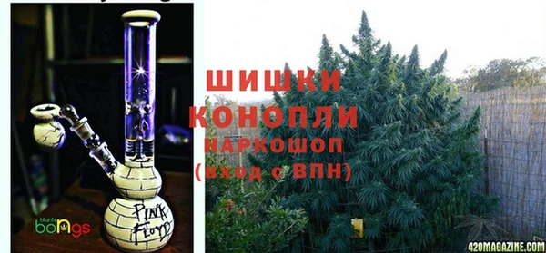 кокс Нягань