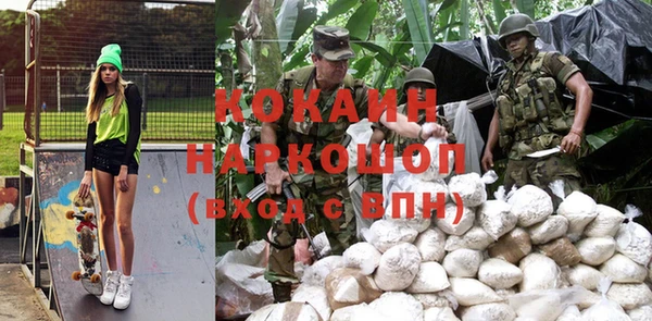 крисы Аркадак
